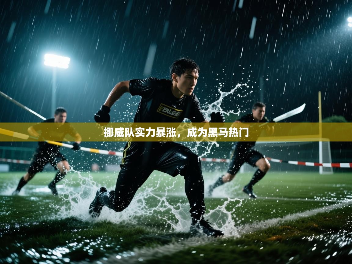 挪威队实力暴涨，成为黑马热门  第2张