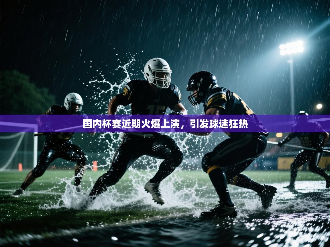国内杯赛近期火爆上演，引发球迷狂热