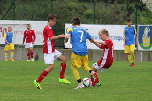 九游娱乐官方平台-“福乐球决战开启,新都香城体育中心见证精彩” 第2张